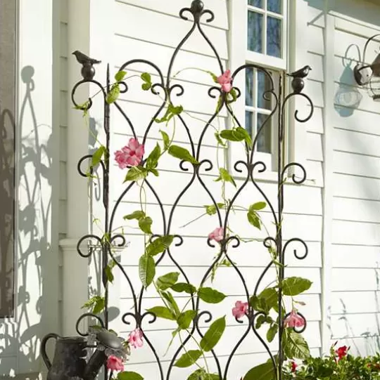 Store MacKenzie-Childs Bird on Ball Trellis