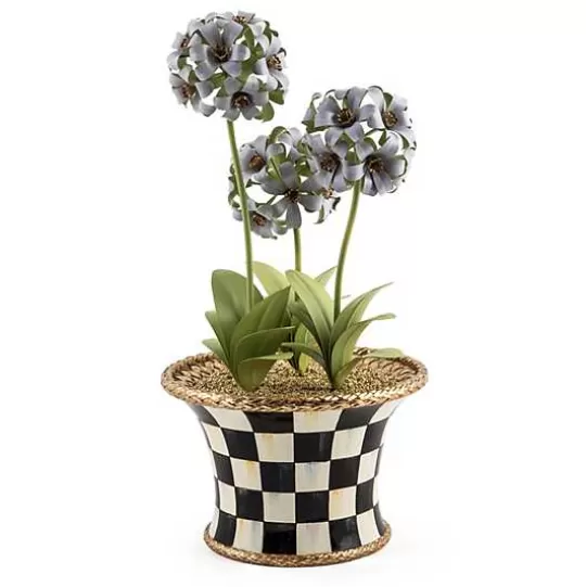 Online MacKenzie-Childs Botany Potted Hyacinth Arrangement