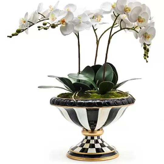 Best MacKenzie-Childs Courtly Check Orchid Arrangement